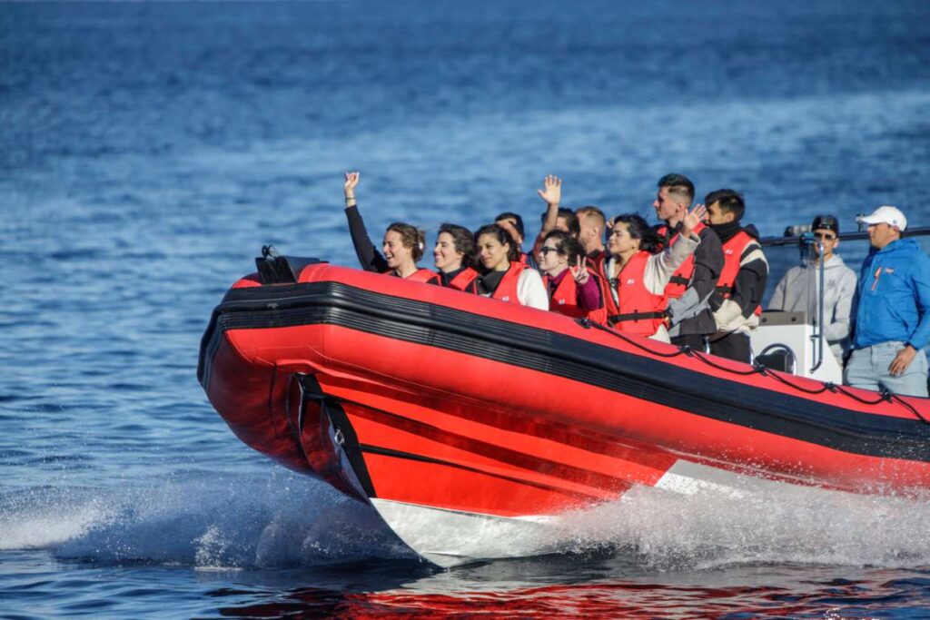 speedboat mallorca